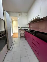 Blk 313C Punggol Parcvista (Punggol), HDB 4 Rooms #563463531